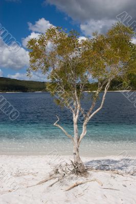 Lake McKenzie