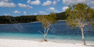 Lake McKenzie