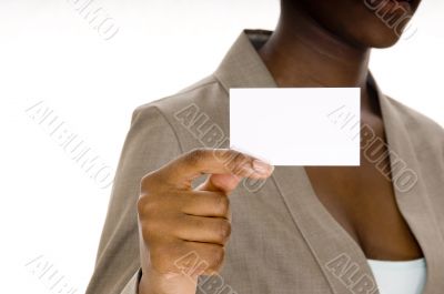 Blank Business Card