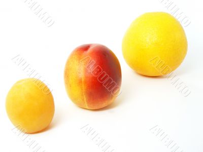apriocot nectarine orange in line