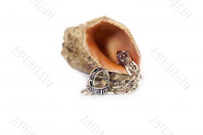 Jewelry, rings and cockleshell