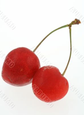 sweet cheries on white