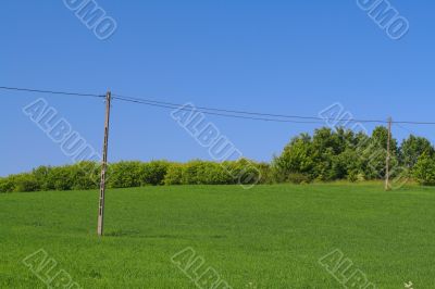 telephone poles on a hilltop