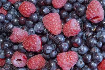 bilberries and raspberries, summer fruits