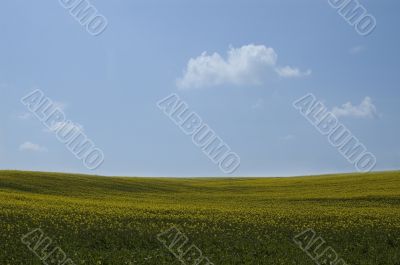 nature background