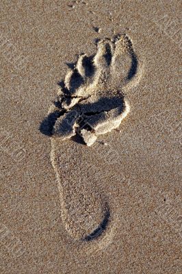Footprint