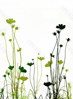 floral style textures