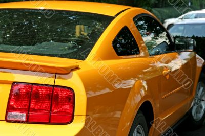 New Sports Car