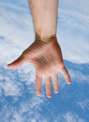 Human hand
