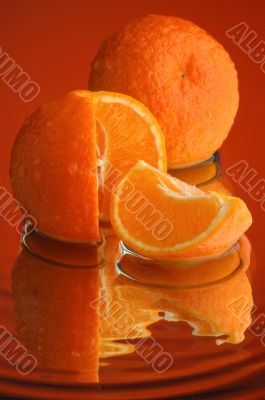 Wet orange 5