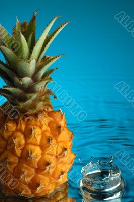 Pineapple 1