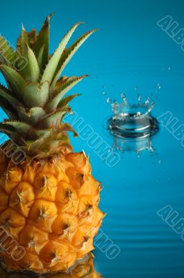 Pineapple 2