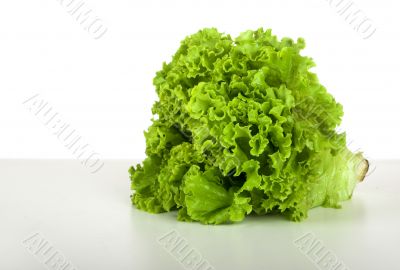 Lettuce