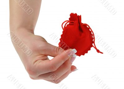 female hand holding red gift