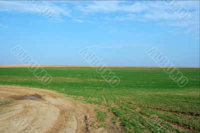 Green Field