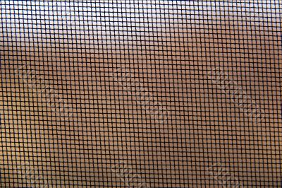 Insect-net pattern