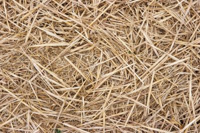 Haystack