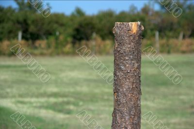 Wooden bar