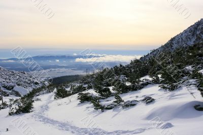 Tatra