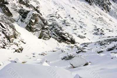 Tatra