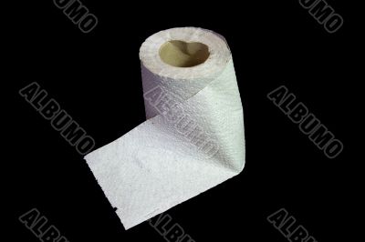 Toilet Paper