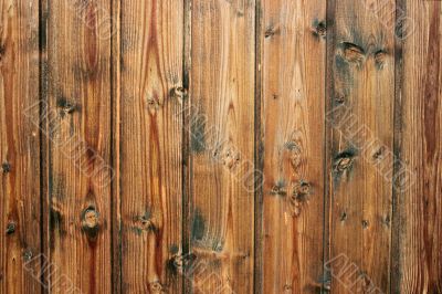 Wood