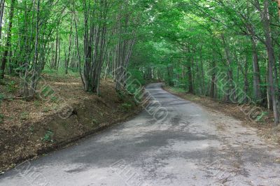 Road