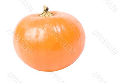 Small Pie Pumpkin