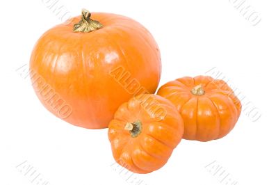 Three pumpkins