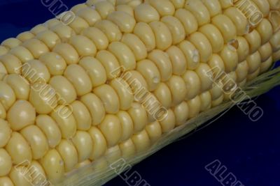 Waterdrops on corncob.