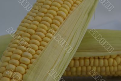 Corn up close.