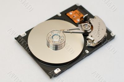The computer hard disk drive.