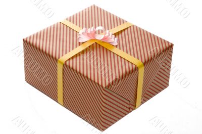 Wrapped Present