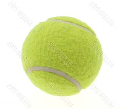 tennis ball on white