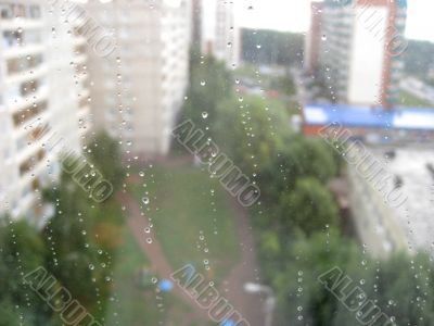 Drops on window