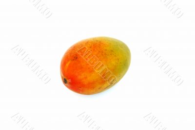 mango isolated