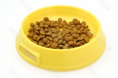 cat food on white