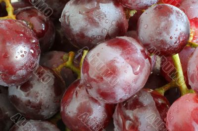 wet grapes macro