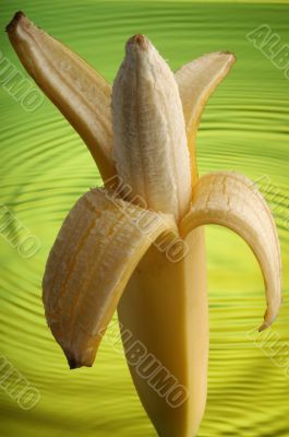 Wet Banana 3