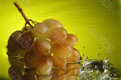 Grapes 2