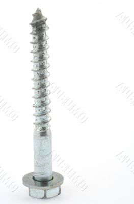 closeup of a screw on white background