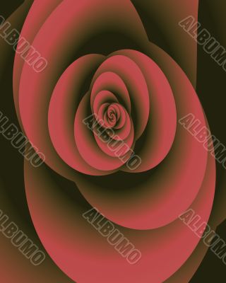 Antique rose