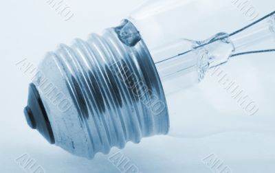 bulb details on blue