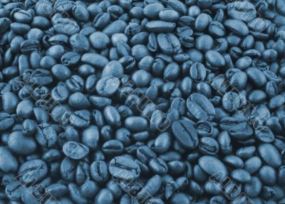 coffee grains in blue