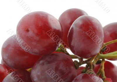 dark grapes details