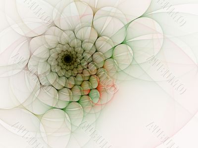 Spiral Splendor against White