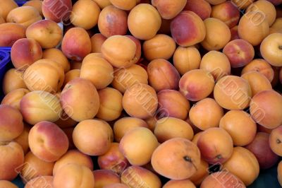 Apricots