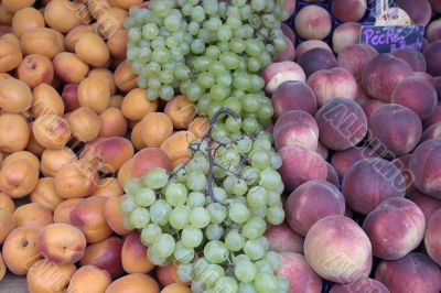 Apricots, grapes and peaches