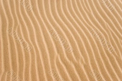 golden sand grooves