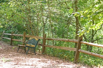 Bench and Fence